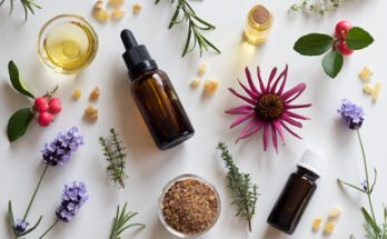 Essential Oils for Wellness: A Beginner’s Guide